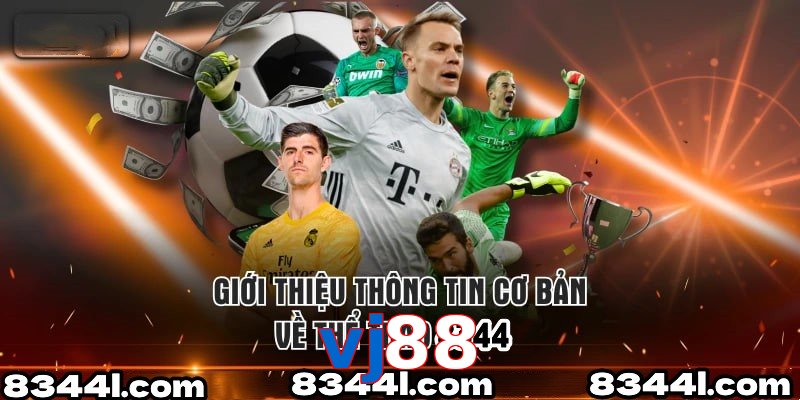 Giới Thiệu Thông Tin Cơ Bản Về Chuyên Mục Thể Thao vj88