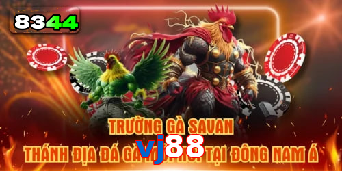 Mơ thấy cá chép – vận may trong học vấn và sự nghiệp